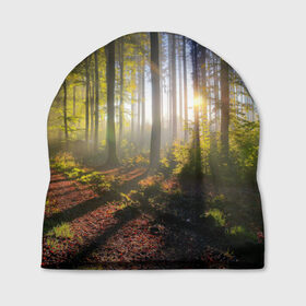Шапка 3D с принтом Утро в лесу в Санкт-Петербурге, 100% полиэстер | универсальный размер, печать по всей поверхности изделия | bright | fog | forest | morning | sun | tree | trees | дерево | деревья | лес | солнце | туман | утро | яркое