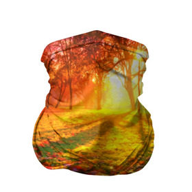 Бандана-труба 3D с принтом Осень в Санкт-Петербурге, 100% полиэстер, ткань с особыми свойствами — Activecool | плотность 150‒180 г/м2; хорошо тянется, но сохраняет форму | autumn | bright | colors | forest | trees | деревья | краски | лес | лучи | осень | солнце | цвета | яркие