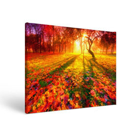 Холст прямоугольный с принтом Осень в Санкт-Петербурге, 100% ПВХ |  | autumn | bright | colors | forest | trees | деревья | краски | лес | лучи | осень | солнце | цвета | яркие