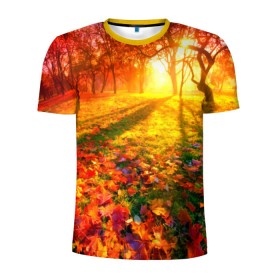 Мужская футболка 3D спортивная с принтом Осень в Санкт-Петербурге, 100% полиэстер с улучшенными характеристиками | приталенный силуэт, круглая горловина, широкие плечи, сужается к линии бедра | Тематика изображения на принте: autumn | bright | colors | forest | trees | деревья | краски | лес | лучи | осень | солнце | цвета | яркие