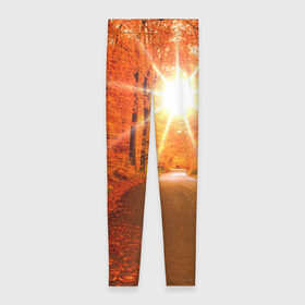 Леггинсы 3D с принтом Осеннее солнце в Санкт-Петербурге, 80% полиэстер, 20% эластан | Эластичный пояс, зауженные к низу, низкая посадка | autumn | bright | colors | forest | trees | деревья | дорога | краски | лес | лучи | осень | солнце | цвета | яркие