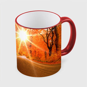 Кружка 3D с принтом Осеннее солнце в Санкт-Петербурге, керамика | ёмкость 330 мл | Тематика изображения на принте: autumn | bright | colors | forest | trees | деревья | дорога | краски | лес | лучи | осень | солнце | цвета | яркие