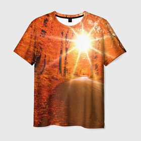 Мужская футболка 3D с принтом Осеннее солнце в Санкт-Петербурге, 100% полиэфир | прямой крой, круглый вырез горловины, длина до линии бедер | autumn | bright | colors | forest | trees | деревья | дорога | краски | лес | лучи | осень | солнце | цвета | яркие