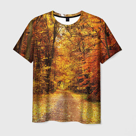 Мужская футболка 3D с принтом Осень в Санкт-Петербурге, 100% полиэфир | прямой крой, круглый вырез горловины, длина до линии бедер | Тематика изображения на принте: autumn | bright | colors | forest | paint | trees | деревья | краски | лес | осень | цвета | яркие