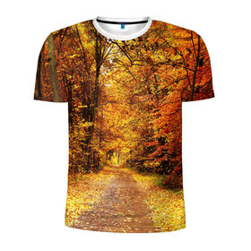 Мужская футболка 3D спортивная с принтом Осень в Санкт-Петербурге, 100% полиэстер с улучшенными характеристиками | приталенный силуэт, круглая горловина, широкие плечи, сужается к линии бедра | autumn | bright | colors | forest | paint | trees | деревья | краски | лес | осень | цвета | яркие