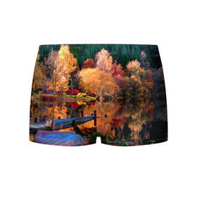 Мужские трусы 3D с принтом Осень в Санкт-Петербурге, 50% хлопок, 50% полиэстер | классическая посадка, на поясе мягкая тканевая резинка | autumn | boat | bright | colors | forest | paint | river | trees | деревья | краски | лес | лодка | осень | река | цвета | яркие
