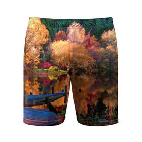 Мужские шорты 3D спортивные с принтом Осень в Санкт-Петербурге,  |  | autumn | boat | bright | colors | forest | paint | river | trees | деревья | краски | лес | лодка | осень | река | цвета | яркие