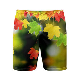 Мужские шорты 3D спортивные с принтом Осень в Санкт-Петербурге,  |  | autumn | bright | color | forest | leaves | maple | paint | reflection | river | trees | деревья | клён | краски | лес | листья | осень | отражение | река | цвета | яркие