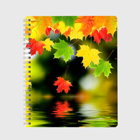 Тетрадь с принтом Осень в Санкт-Петербурге, 100% бумага | 48 листов, плотность листов — 60 г/м2, плотность картонной обложки — 250 г/м2. Листы скреплены сбоку удобной пружинной спиралью. Уголки страниц и обложки скругленные. Цвет линий — светло-серый
 | autumn | bright | color | forest | leaves | maple | paint | reflection | river | trees | деревья | клён | краски | лес | листья | осень | отражение | река | цвета | яркие