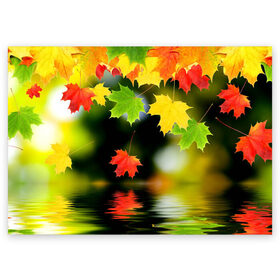 Поздравительная открытка с принтом Осень в Санкт-Петербурге, 100% бумага | плотность бумаги 280 г/м2, матовая, на обратной стороне линовка и место для марки
 | autumn | bright | color | forest | leaves | maple | paint | reflection | river | trees | деревья | клён | краски | лес | листья | осень | отражение | река | цвета | яркие