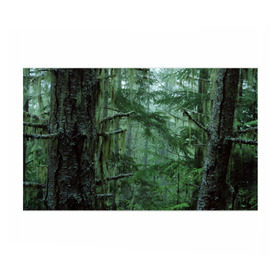 Бумага для упаковки 3D с принтом Дремучий лес в Санкт-Петербурге, пластик и полированная сталь | круглая форма, металлическое крепление в виде кольца | camouflage | dense | fog | forest | spruce | tree | дремучий | ёлка | ельник | камуфляж | лес | маскировка | туман