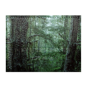 Обложка для студенческого билета с принтом Дремучий лес в Санкт-Петербурге, натуральная кожа | Размер: 11*8 см; Печать на всей внешней стороне | camouflage | dense | fog | forest | spruce | tree | дремучий | ёлка | ельник | камуфляж | лес | маскировка | туман