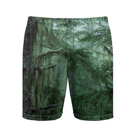 Мужские шорты 3D спортивные с принтом Дремучий лес в Санкт-Петербурге,  |  | camouflage | dense | fog | forest | spruce | tree | дремучий | ёлка | ельник | камуфляж | лес | маскировка | туман