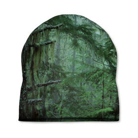 Шапка 3D с принтом Дремучий лес в Санкт-Петербурге, 100% полиэстер | универсальный размер, печать по всей поверхности изделия | camouflage | dense | fog | forest | spruce | tree | дремучий | ёлка | ельник | камуфляж | лес | маскировка | туман