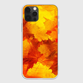 Чехол для iPhone 12 Pro Max с принтом Осень в Санкт-Петербурге, Силикон |  | autumn | bright | color | forest | leaves | maple | paint | trees | деревья | клен | краски | лес | листья | осень | цвета | яркие