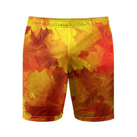 Мужские шорты 3D спортивные с принтом Осень в Санкт-Петербурге,  |  | autumn | bright | color | forest | leaves | maple | paint | trees | деревья | клен | краски | лес | листья | осень | цвета | яркие