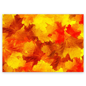Поздравительная открытка с принтом Осень в Санкт-Петербурге, 100% бумага | плотность бумаги 280 г/м2, матовая, на обратной стороне линовка и место для марки
 | autumn | bright | color | forest | leaves | maple | paint | trees | деревья | клен | краски | лес | листья | осень | цвета | яркие