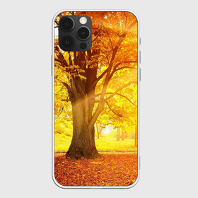 Чехол для iPhone 12 Pro Max с принтом Осень в Санкт-Петербурге, Силикон |  | autumn | bright | colors | forest | paint | trees | деревья | краски | лес | осень | цвета | яркие