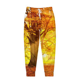 Мужские брюки 3D с принтом Осень в Санкт-Петербурге, 100% полиэстер | манжеты по низу, эластичный пояс регулируется шнурком, по бокам два кармана без застежек, внутренняя часть кармана из мелкой сетки | autumn | bright | colors | forest | paint | trees | деревья | краски | лес | осень | цвета | яркие