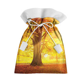 Подарочный 3D мешок с принтом Осень в Санкт-Петербурге, 100% полиэстер | Размер: 29*39 см | autumn | bright | colors | forest | paint | trees | деревья | краски | лес | осень | цвета | яркие