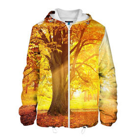Мужская куртка 3D с принтом Осень в Санкт-Петербурге, ткань верха — 100% полиэстер, подклад — флис | прямой крой, подол и капюшон оформлены резинкой с фиксаторами, два кармана без застежек по бокам, один большой потайной карман на груди. Карман на груди застегивается на липучку | Тематика изображения на принте: autumn | bright | colors | forest | paint | trees | деревья | краски | лес | осень | цвета | яркие