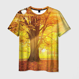 Мужская футболка 3D с принтом Осень в Санкт-Петербурге, 100% полиэфир | прямой крой, круглый вырез горловины, длина до линии бедер | autumn | bright | colors | forest | paint | trees | деревья | краски | лес | осень | цвета | яркие