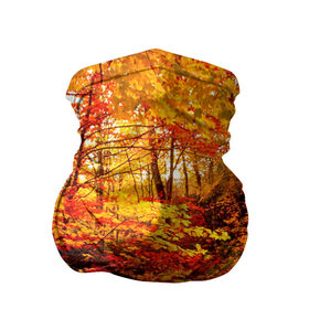 Бандана-труба 3D с принтом Осень в Санкт-Петербурге, 100% полиэстер, ткань с особыми свойствами — Activecool | плотность 150‒180 г/м2; хорошо тянется, но сохраняет форму | autumn | bright | colors | forest | paint | trees | деревья | краски | лес | осень | цвета | яркие