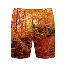 Мужские шорты 3D спортивные с принтом Осень в Санкт-Петербурге,  |  | autumn | bright | colors | forest | paint | trees | деревья | краски | лес | осень | цвета | яркие