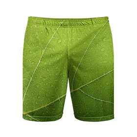 Мужские шорты 3D спортивные с принтом Листик 2 в Санкт-Петербурге,  |  | зеленый | зелень | лист | природа | растения