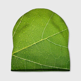 Шапка 3D с принтом Листик 2 в Санкт-Петербурге, 100% полиэстер | универсальный размер, печать по всей поверхности изделия | зеленый | зелень | лист | природа | растения