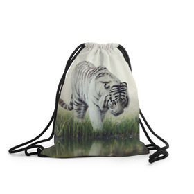 Рюкзак-мешок 3D с принтом Белый тигр в Санкт-Петербурге, 100% полиэстер | плотность ткани — 200 г/м2, размер — 35 х 45 см; лямки — толстые шнурки, застежка на шнуровке, без карманов и подкладки | дикая кошка | природа | тигр | хищник