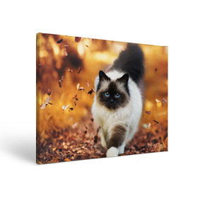 Холст прямоугольный с принтом Котик в листьях в Санкт-Петербурге, 100% ПВХ |  | грация | кот | котик | кошка | листья | осень