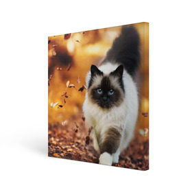 Холст квадратный с принтом Котик в листьях в Санкт-Петербурге, 100% ПВХ |  | грация | кот | котик | кошка | листья | осень