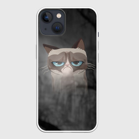 Чехол для iPhone 13 с принтом Grumpy Cat в Санкт-Петербурге,  |  | кот | мем | угрюмый