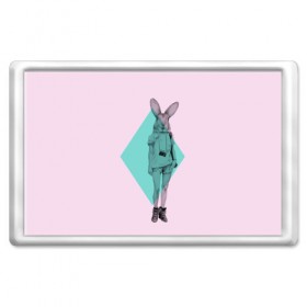 Магнит 45*70 с принтом Pink Rabbit в Санкт-Петербурге, Пластик | Размер: 78*52 мм; Размер печати: 70*45 | Тематика изображения на принте: hipster | rabbit | swag | кролик | хипстер