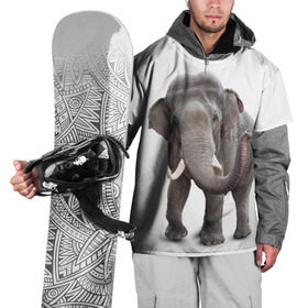 Накидка на куртку 3D с принтом Слон VPPDGryphon в Санкт-Петербурге, 100% полиэстер |  | luxury | premium | vip | vppdgryphon | премиум | слон | эксклюзив