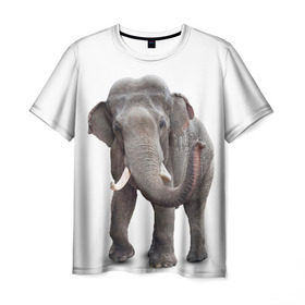 Мужская футболка 3D с принтом Слон VPPDGryphon в Санкт-Петербурге, 100% полиэфир | прямой крой, круглый вырез горловины, длина до линии бедер | Тематика изображения на принте: luxury | premium | vip | vppdgryphon | премиум | слон | эксклюзив