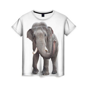 Женская футболка 3D с принтом Слон VPPDGryphon в Санкт-Петербурге, 100% полиэфир ( синтетическое хлопкоподобное полотно) | прямой крой, круглый вырез горловины, длина до линии бедер | Тематика изображения на принте: luxury | premium | vip | vppdgryphon | премиум | слон | эксклюзив