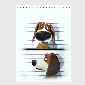 Скетчбук с принтом Разыскивается пёс в Санкт-Петербурге, 100% бумага
 | 48 листов, плотность листов — 100 г/м2, плотность картонной обложки — 250 г/м2. Листы скреплены сверху удобной пружинной спиралью | dog | fast furry | бигль | большой собачий побег | мартин | мультфильм | оззи | побег | свободу разношерстным | собака