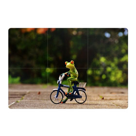 Магнитный плакат 3Х2 с принтом Лягушка в Санкт-Петербурге, Полимерный материал с магнитным слоем | 6 деталей размером 9*9 см | велосипед | жаба | животные | лягушка | мини | фигурка