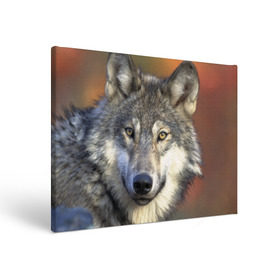 Холст прямоугольный с принтом Волк в Санкт-Петербурге, 100% ПВХ |  | волк | волки | волчата | волчонок | хищник