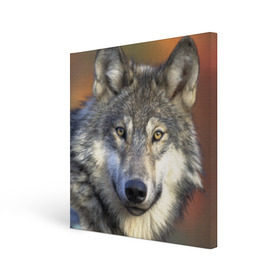 Холст квадратный с принтом Волк в Санкт-Петербурге, 100% ПВХ |  | волк | волки | волчата | волчонок | хищник