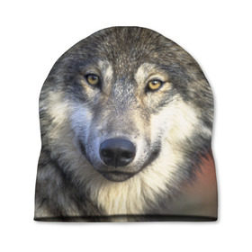 Шапка 3D с принтом Волк в Санкт-Петербурге, 100% полиэстер | универсальный размер, печать по всей поверхности изделия | волк | волки | волчата | волчонок | хищник