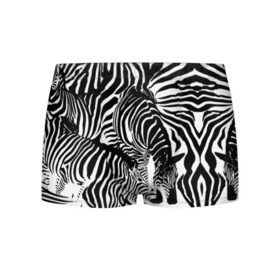 Мужские трусы 3D с принтом Зебра в Санкт-Петербурге, 50% хлопок, 50% полиэстер | классическая посадка, на поясе мягкая тканевая резинка | Тематика изображения на принте: дикое | животное | зебра | камуфляж | лошадь | маскировка | полосы | текстура | фон | черно белые