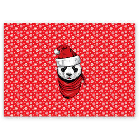 Поздравительная открытка с принтом Панда Клаус в Санкт-Петербурге, 100% бумага | плотность бумаги 280 г/м2, матовая, на обратной стороне линовка и место для марки
 | animal | bear | beast | claus | panda | santa | дед мороз | елка | зверь | клаус | медведь | новый год | панда | рождество | санта | снег