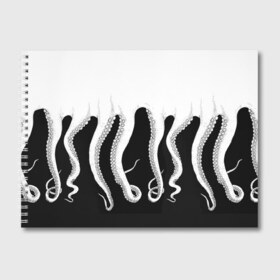 Альбом для рисования с принтом Octopus в Санкт-Петербурге, 100% бумага
 | матовая бумага, плотность 200 мг. | Тематика изображения на принте: octopus