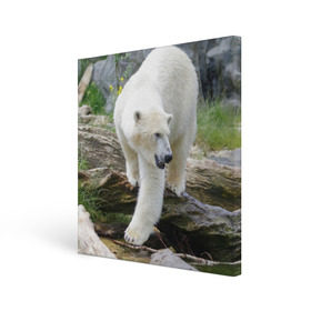 Холст квадратный с принтом Белый медведь в Санкт-Петербурге, 100% ПВХ |  | арктика
