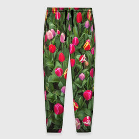 Мужские брюки 3D с принтом Тюльпанчики в Санкт-Петербурге, 100% полиэстер | манжеты по низу, эластичный пояс регулируется шнурком, по бокам два кармана без застежек, внутренняя часть кармана из мелкой сетки | зеленый | поле | природа | растения | тюльпаны | цветной | цветы
