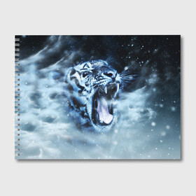 Альбом для рисования с принтом Белый тигр в Санкт-Петербурге, 100% бумага
 | матовая бумага, плотность 200 мг. | Тематика изображения на принте: зима | клыки | метель | пасть | снег | тигр | хищник