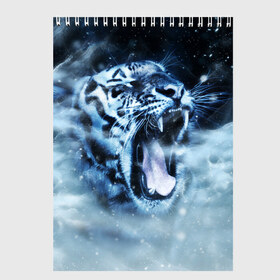 Скетчбук с принтом Белый тигр в Санкт-Петербурге, 100% бумага
 | 48 листов, плотность листов — 100 г/м2, плотность картонной обложки — 250 г/м2. Листы скреплены сверху удобной пружинной спиралью | зима | клыки | метель | пасть | снег | тигр | хищник